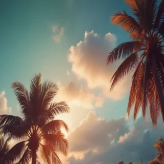 summer iphone backgrounds