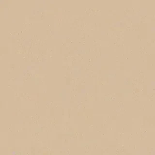 neutral computer background