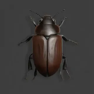 beetle png