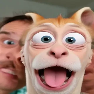 funny videos