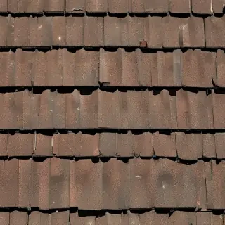 shingles images