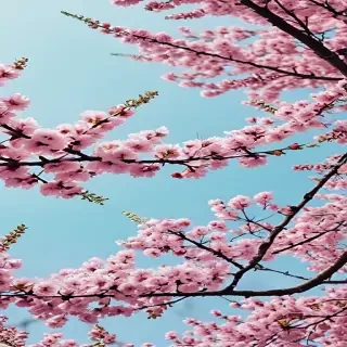 springtime iphone wallpaper