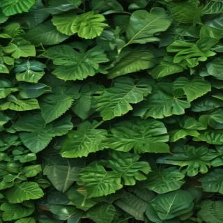 background green leaves