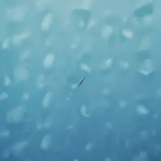 blue background iphone