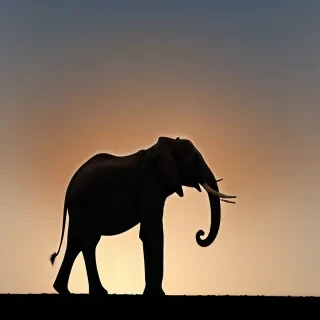 elephant silhouette