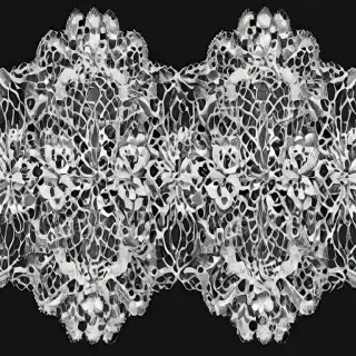 transparent lace png