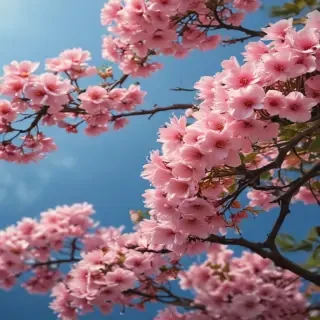 aesthetic backgrounds flowers