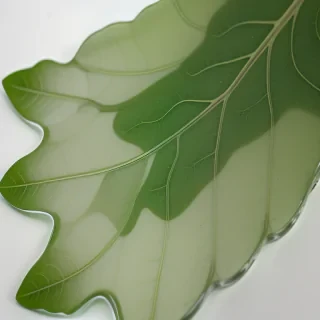 leaf transparent