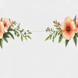 flower border transparent