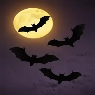 images of halloween bats