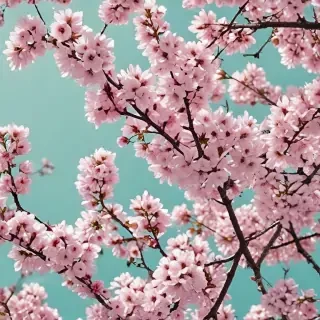 spring wallpaper phone