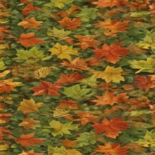 leaves transparent