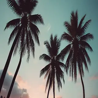 aesthetic palm tree wallpaper