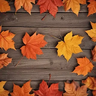 fall background iphone