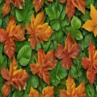 leaf backgrounds