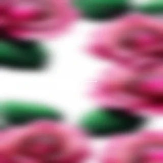 wallpaper iphone rose