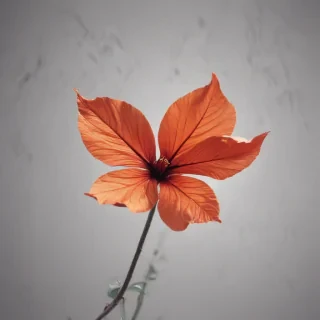 simple wallpaper iphone