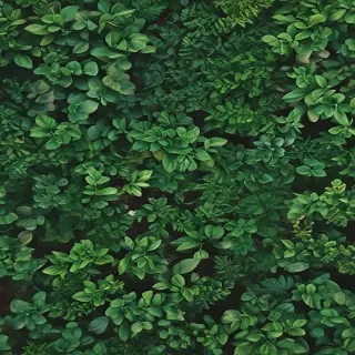 greenery iphone background