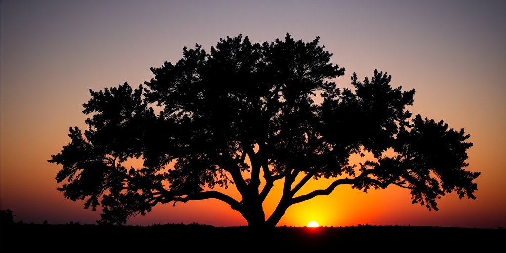 Generate a high-resolution black silhouette of a tree against a gradient sunset background, using a DSLR camera with a 50mm lens, aperture set to f/2.8, ISO 100, and a shutter speed of 1/200s, capturing a wide-angle view to enhance depth and detail.