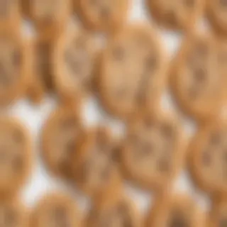 chocolate chip cookie png