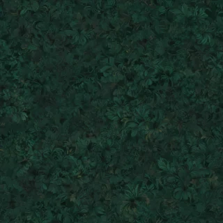 dark green colour wallpaper