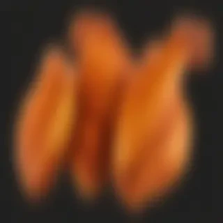 chicken wings png