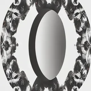 circle pictures