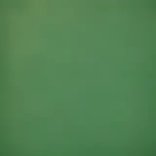 plain green bg