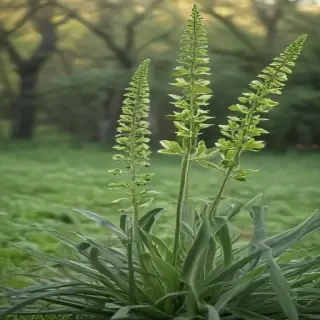 sage green photos