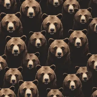 bear background