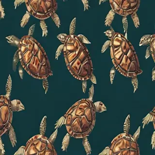 turtle backgrounds