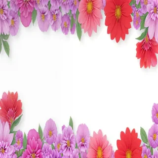 aesthetic flower background