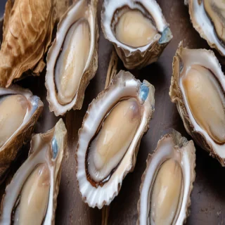 oysters png