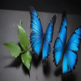 blue butterfly aesthetic
