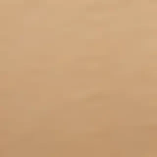 craft paper texture