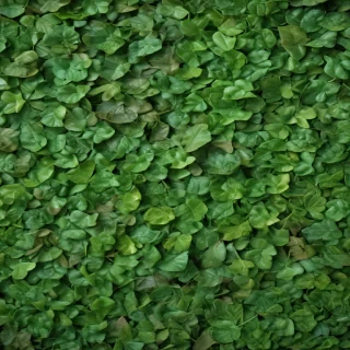 leaf background green