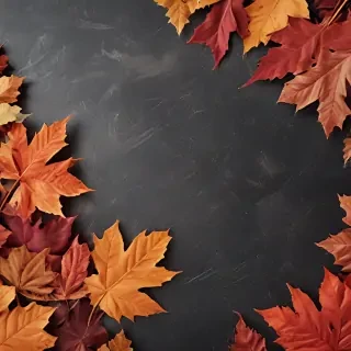 iphone backgrounds fall