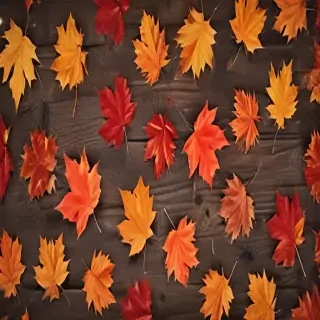 iphone wallpaper fall