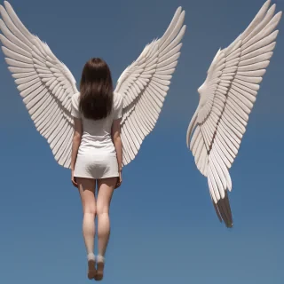 wings.png