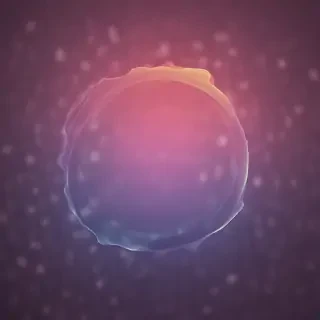 light leak png