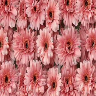 aesthetic flower wallpaper