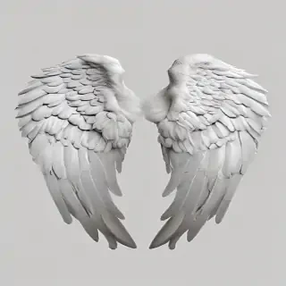 angel wings png