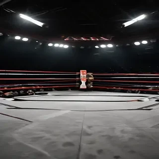 boxing ring wallpaper