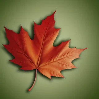 leaf wallpaper iphone
