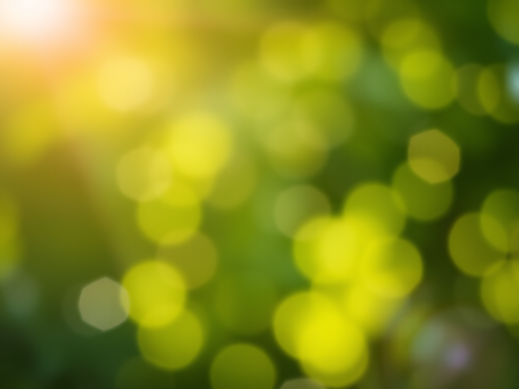 soft green bokeh background, aperture f/2.8, shutter speed 1/125, ISO 200, 50mm lens, shallow depth of field, shot from eye level, DSLR camera, high resolution