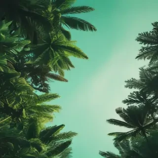 aesthetic backgrounds green