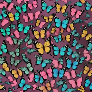 pretty butterfly wallpapers