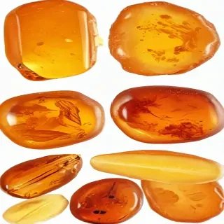 amber png