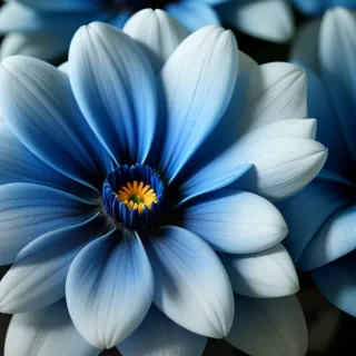 background blue flower
