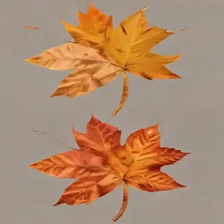 fall leaves png